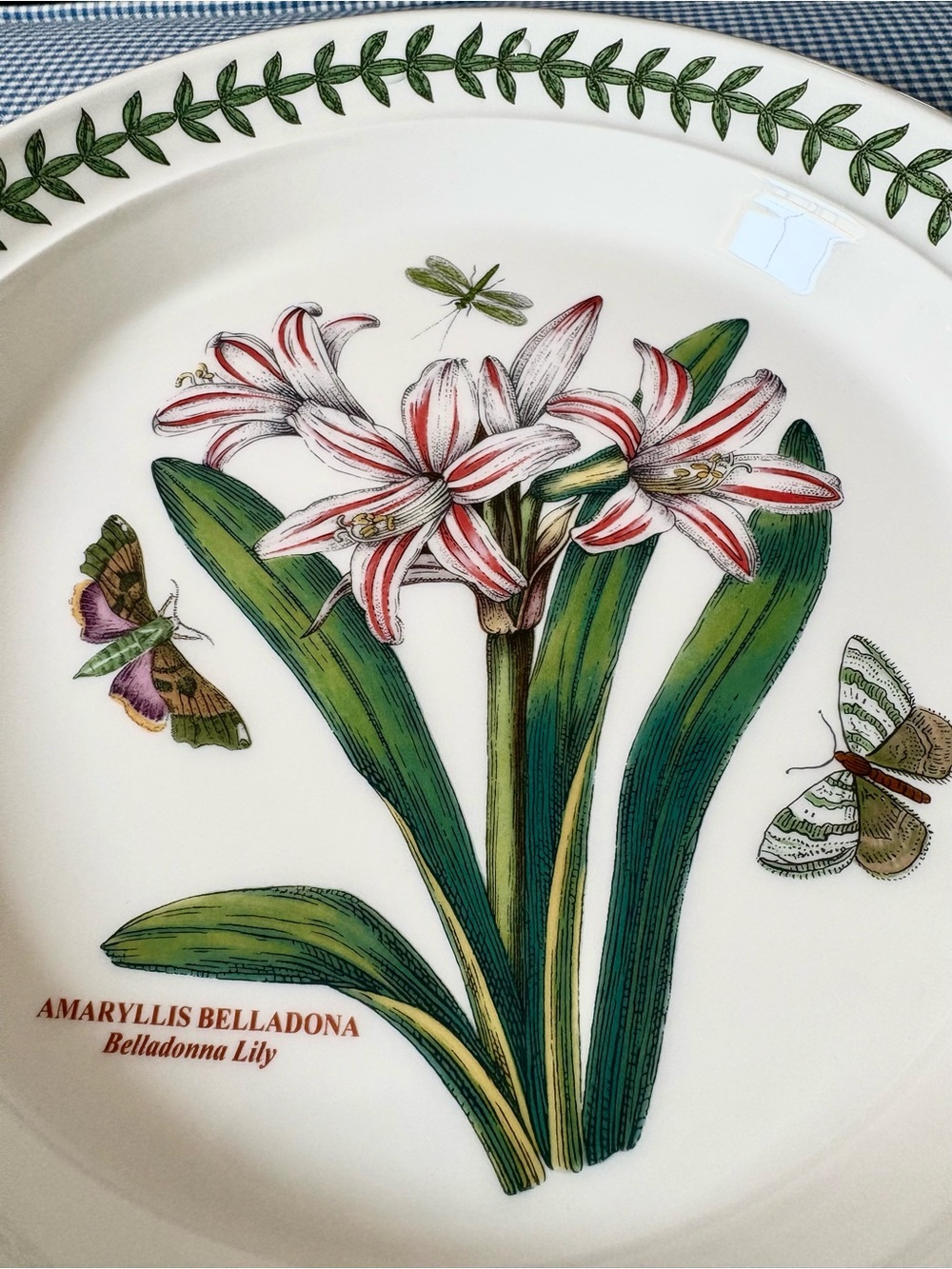 Portmeirion Botanic Garden Amaryllis   salad Plate  NEW never used! - Picture 5 of 7